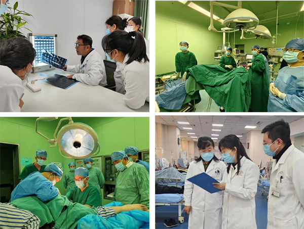 图片12.jpg 图片12.jpg
