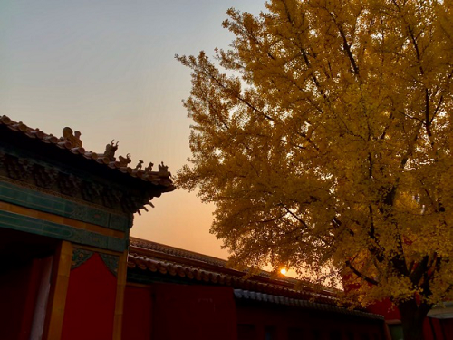微信图片_20200928113613.png 微信图片_20200928113613.png