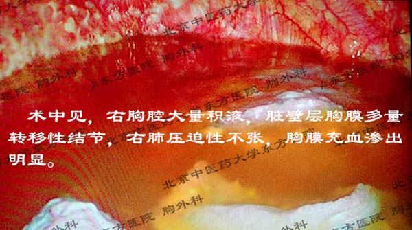 图片27.jpg