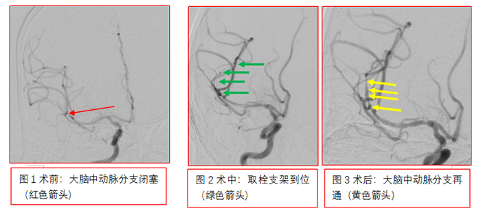 未标题-1.jpg 未标题-1.jpg