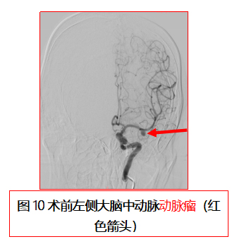 未标题-4.jpg