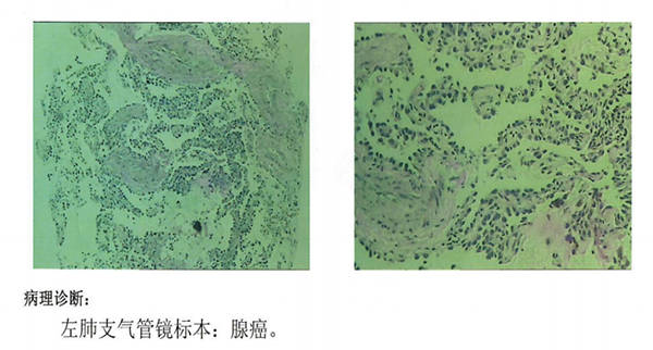 图片-3.jpg 图片-3.jpg
