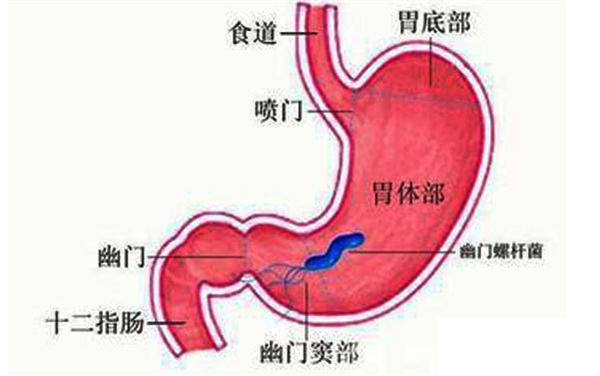 图片 1.jpg 图片 1.jpg