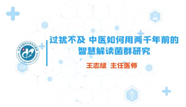 过犹不及：中医如何用两千年前的智慧解读菌群研究